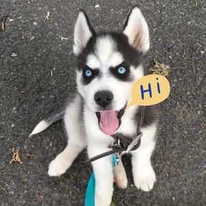 Meet your Posher, Nicole